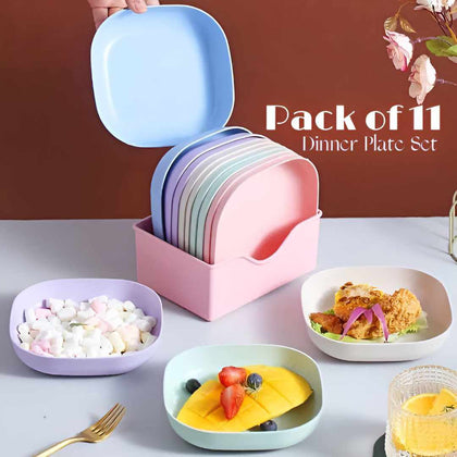 Pack of 10 Fancy Plates with 1 Plates Stand