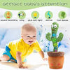 Rechargeable Cactus Talking / Voice Recording Toy with Clothes/Accessories