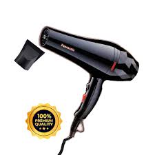 Panasonic Professional Saloon Dual Mode Hair Dryer PA-4400