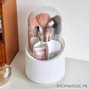 Cosmetic Brush Holder with Transparent