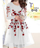 2Piece Front Flower Embroidery Frock RGshop