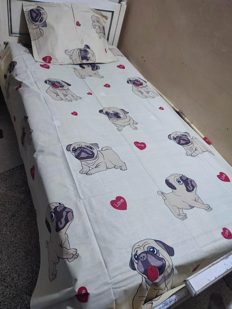 2pc soft cotton single bedsheets