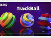 Flexible Track Ball